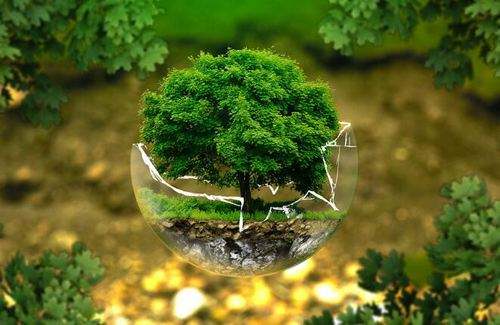 怎樣實施科學的環保管理?